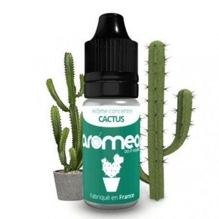 Aroméa - Cactus